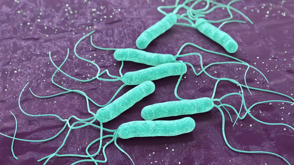 Doctor explaining H. pylori treatment at RK Gastro Hospital